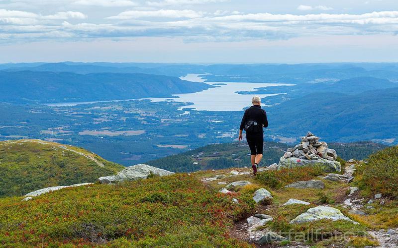 Leikvin - Mountain Chalet Villa Lifjell Eksteriør bilde